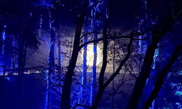 Smoky Night Lights at Zoo Knoxville