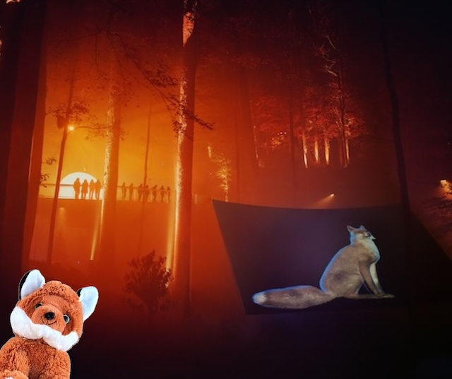 Knox the Fox says, ‘Don’t miss Smoky Night Lights!’
