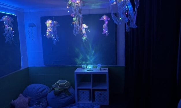 Girl Scouts create sensory space for school