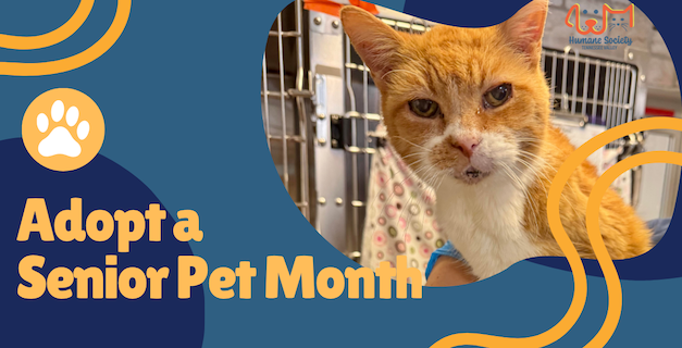 November is National Senior Pet Month: Papaw proves age is just a number