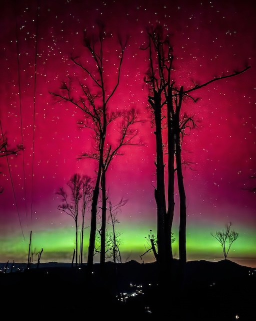 Helene trees meet the Aurora