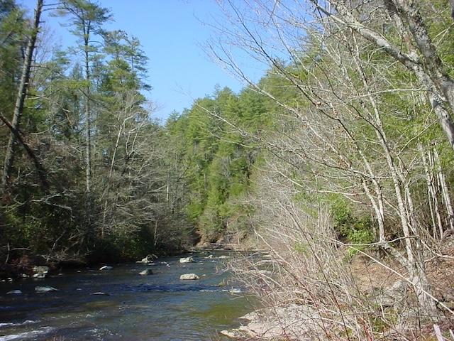 Harrington advises on Abram Falls Trail