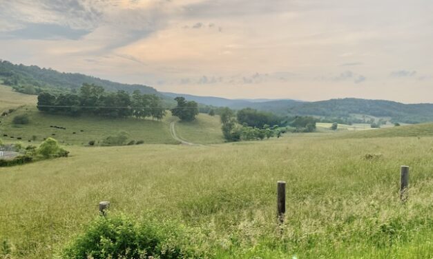 John Götz: The British sympathizer who also contributed