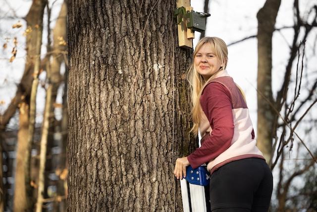 This is Bat Country: Senior Study tracks the hidden nightlife of Maryville College bat species