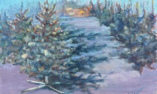 A ‘Lot of Christmas Trees’