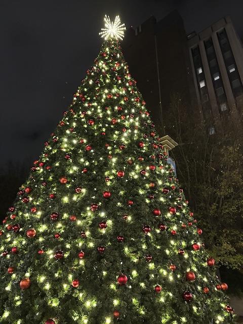 A blue, blue Christmas without you  …Or maybe not 