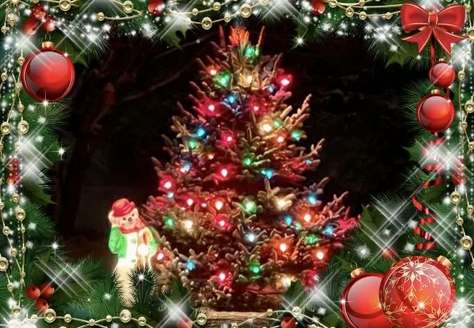 A happy Christmas to all, and to all a good night