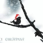 Christmas cards: tradition born out to save time