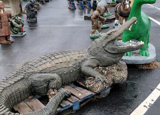 Weekend wandering at Great Smokies Flea Market