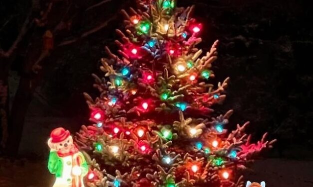 Knox the Fox is spending Saturday in Fountain City: pancakes, parade, and party in the park