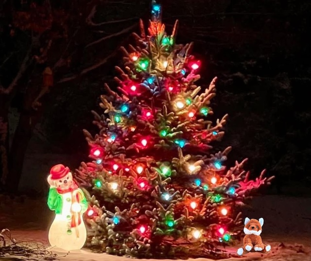 Knox the Fox is spending Saturday in Fountain City: pancakes, parade, and party in the park