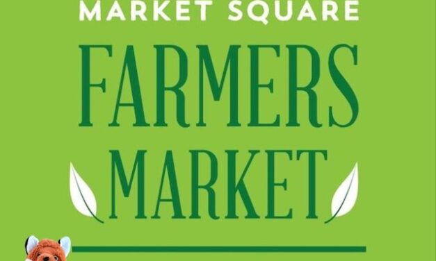 Knox says head to Winter Farmers Market