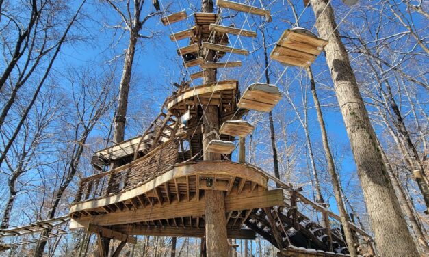 Navitat + Gay Street Bridge + Panther Creek, Cumberland parks get awards