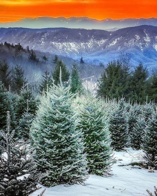 Winter Wonder: Capturing snowy sunsets in the High Country