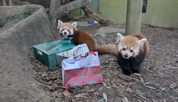 Zoo Knoxville holiday schedule