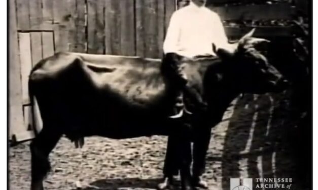 Mad Jack and Cas Walker are a mere click away