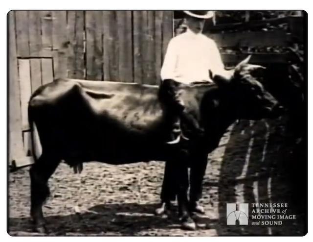 Mad Jack and Cas Walker are a mere click away