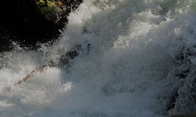 Hiking with Harrington shares history of  Middle Prong Trail