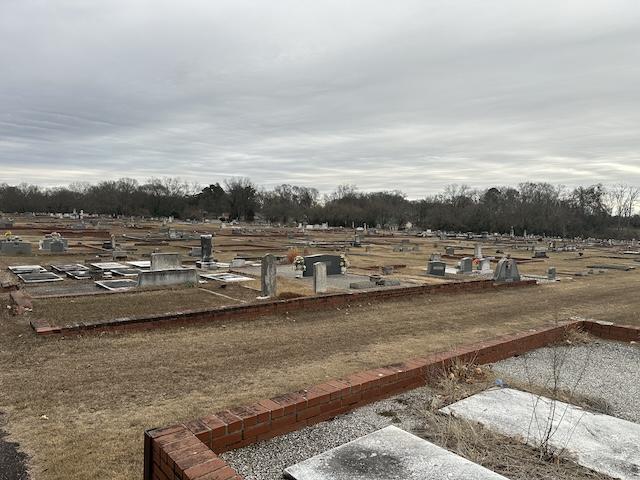 Knox the Fox visits Western Georgia cities