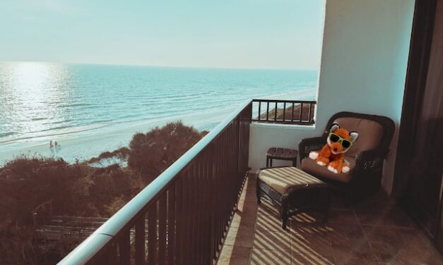 Knox the Fox heads to Florida