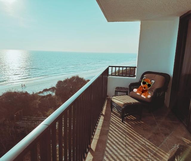 Knox the Fox heads to Florida