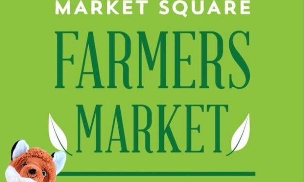 Knox the Fox heads to Winter Farmers Market