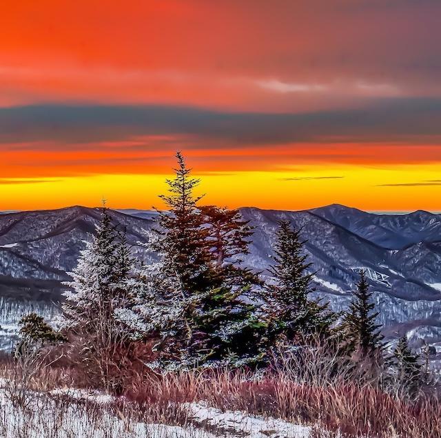 A Man of Grace: Tommy Schumpert