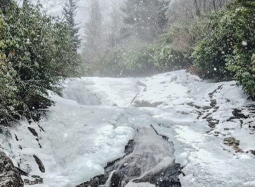 Preserving the moment, featuring Winter Storm Fern 
