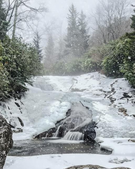 Preserving the moment, featuring Winter Storm Fern 