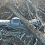 Tree crushes truck + City council + Bluegrass at Ijams ++
