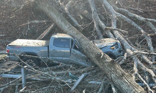 Tree crushes truck + City council + Bluegrass at Ijams ++