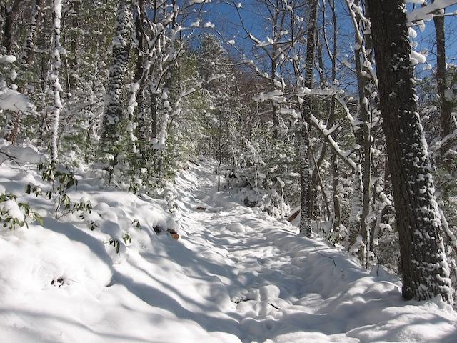 Hiking with Harrington: Smoky Mountains in the snow