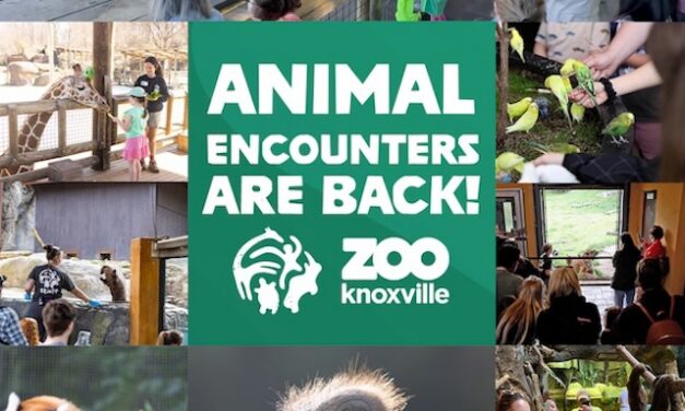 Animal Encounters at Zoo Knoxville are back!