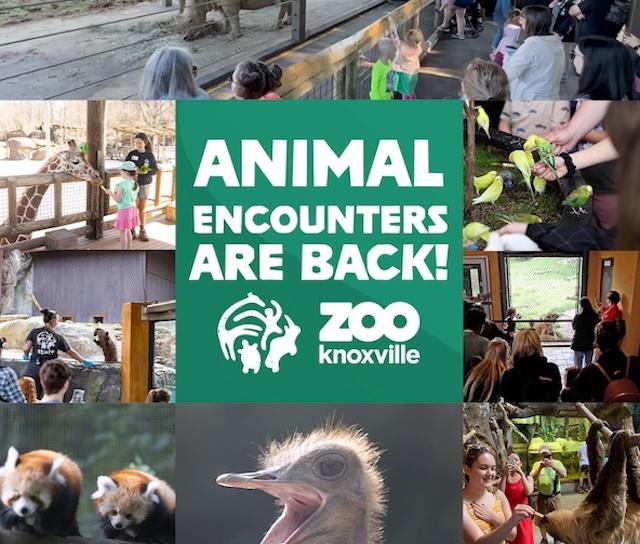 Animal Encounters at Zoo Knoxville are back!