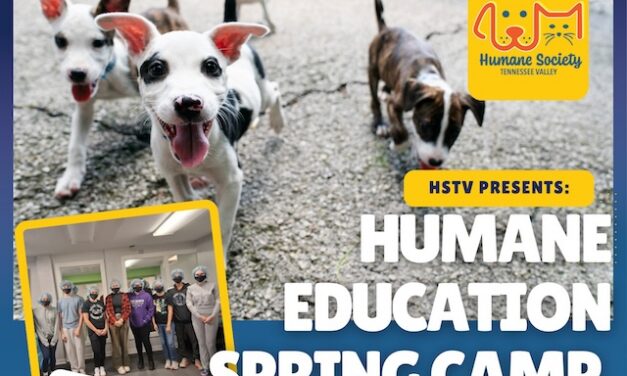HSTV announces free Spring Humane Education Camp for Grades 6–12