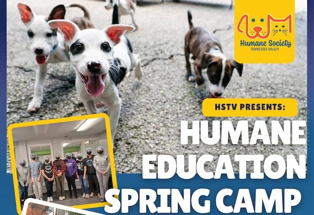 HSTV announces free Spring Humane Education Camp for Grades 6–12