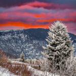 Patience and adventure: Capturing winter sunrise on Roan Mountain