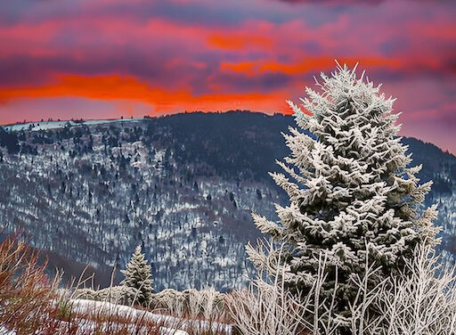 Patience and adventure: Capturing winter sunrise on Roan Mountain