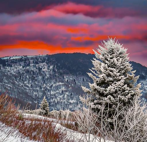 Patience and adventure: Capturing winter sunrise on Roan Mountain