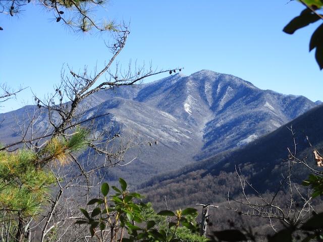 Hiking with Harrington: Mt. LeConte
