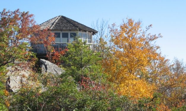 Hiking with Harrington: Mt. Cammerer