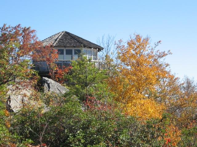 Hiking with Harrington: Mt. Cammerer