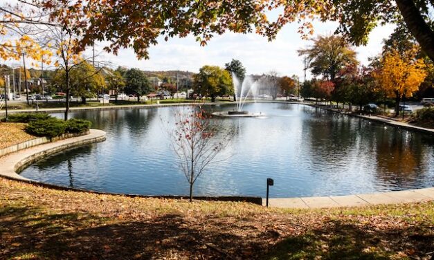 Ftn. City Town Hall Monday meeting to review City Master Plan