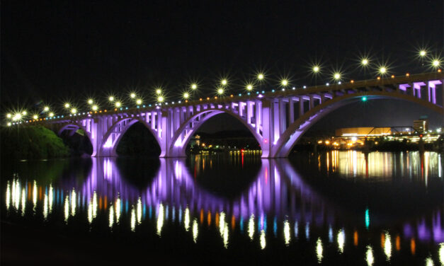 2-1-1 Day + Sam Dzobo + Sunshine Industries ++