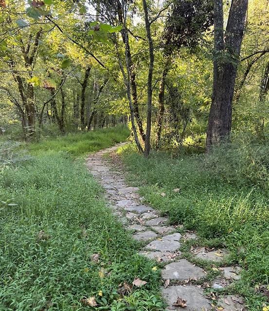 Step into spring: March reads & walks with the library