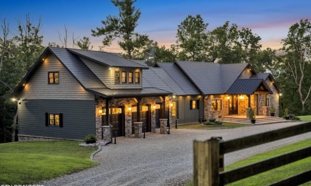 Spotlight: Year of the Horse