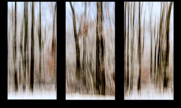 Winter Motion