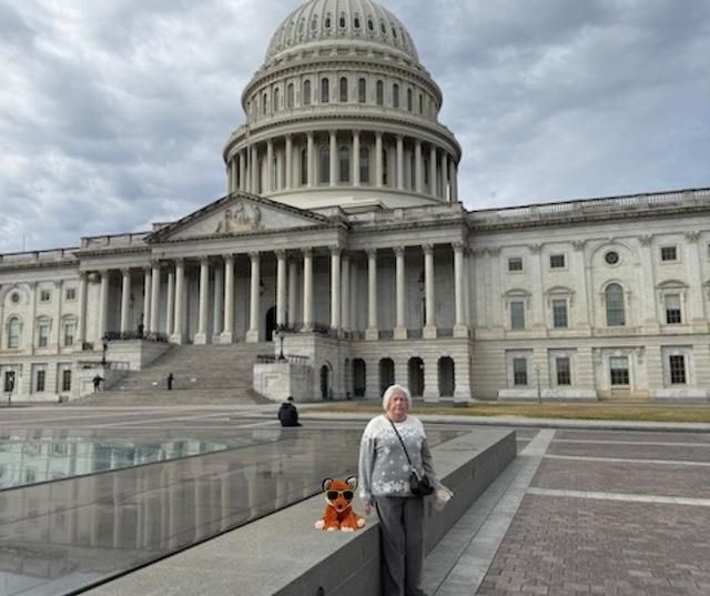Knox the Fox with friends in D.C.