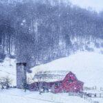 The Essence of a Wintry Embrace