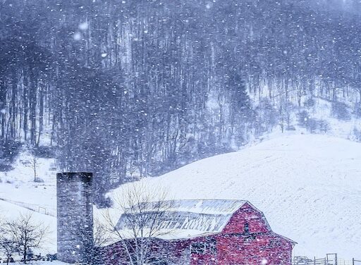 The Essence of a Wintry Embrace